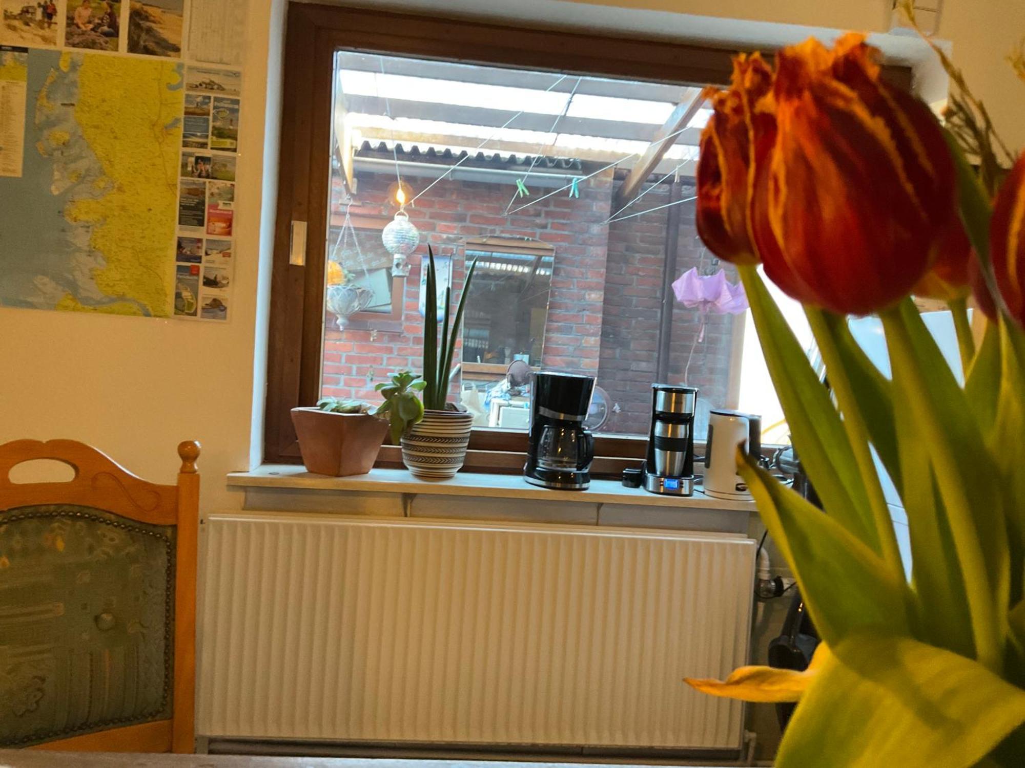 Privartzimmer 'Ausfahrt Freihalten' Husum  Zewnętrze zdjęcie
