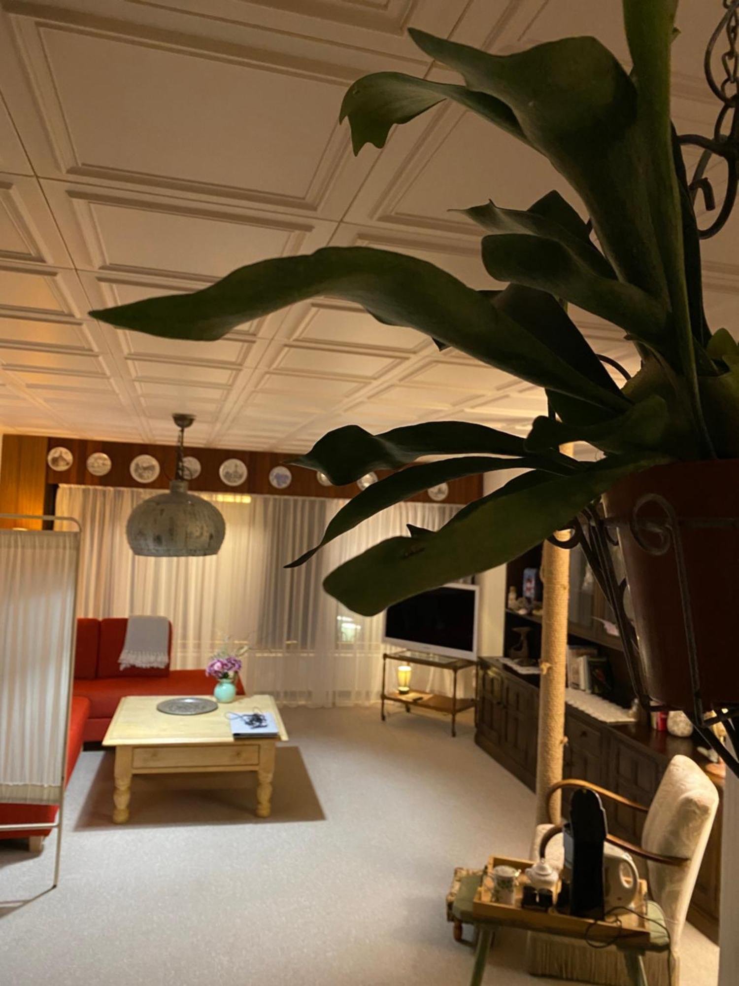 Privartzimmer 'Ausfahrt Freihalten' Husum  Zewnętrze zdjęcie